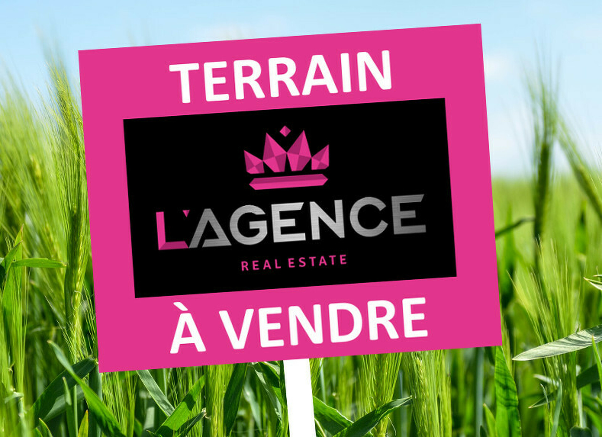 à vendre terrain.jpg